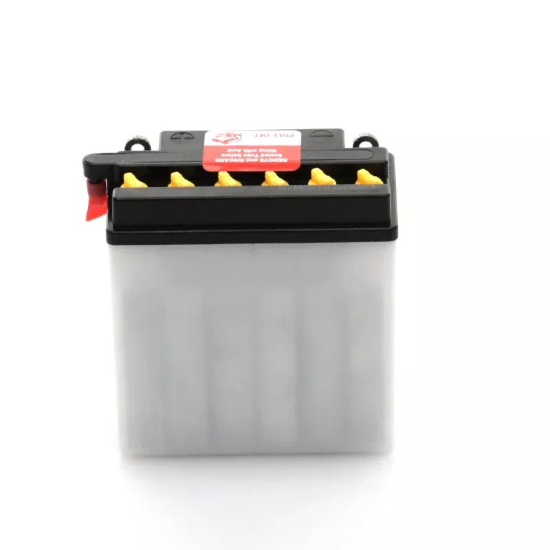 Yuasa Yumicron Battery